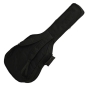 Preview: Ever Play 810W, Westernguitar, Gigbag, 10mm